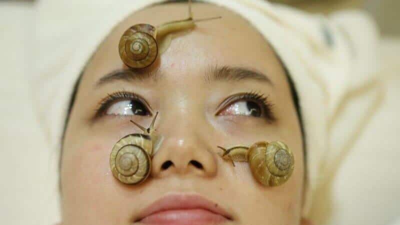 snail facial